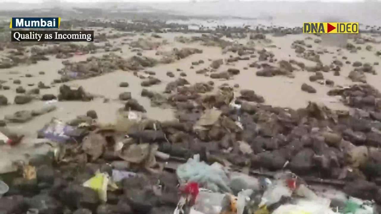 Tar balls with garbage wash ashore coast of Juhu beach in Mumbai