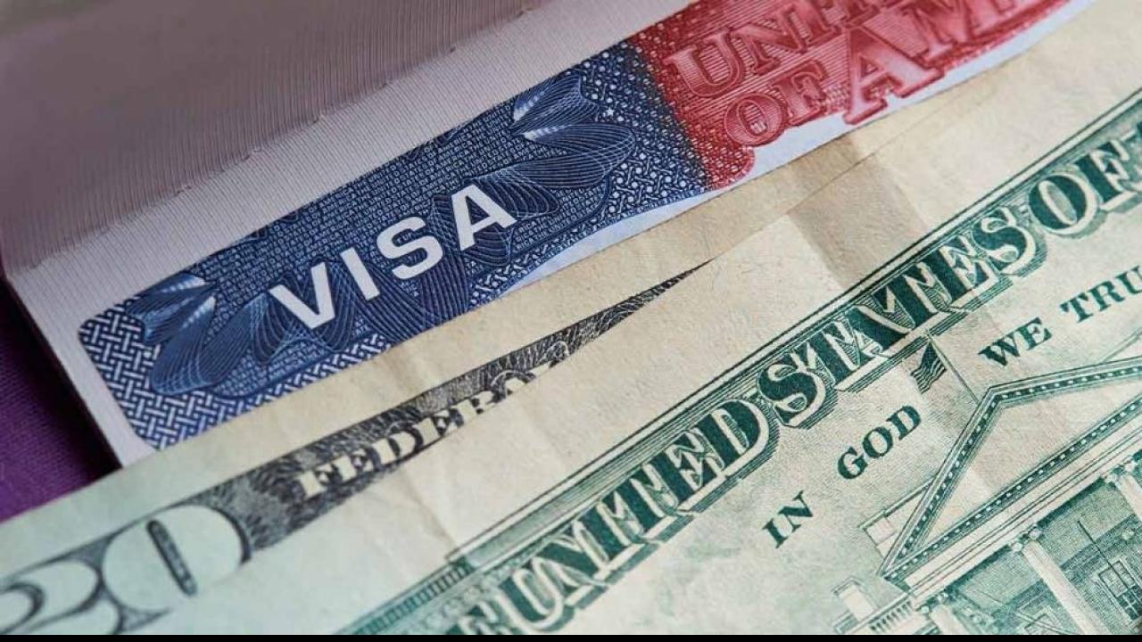 Visa Benefits