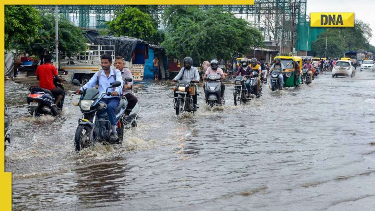 Heavy rain, thunderstorm warnings in several parts, check IMD forecast ...