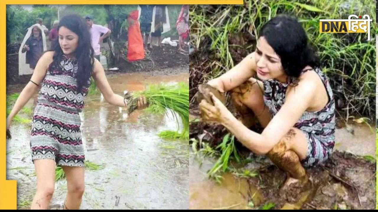 Video: Shehnaaz Gill ने किसानों के साथ खेतों में की फसल बुआई, दिन भर बारिश में भीगीं