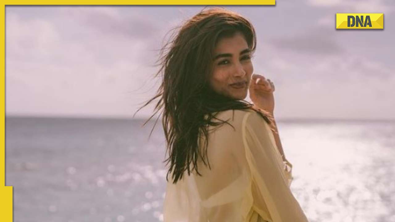 1280px x 720px - Pooja Hegde hot pics News: Read Latest News and Live Updates on Pooja Hegde  hot pics, Photos, and Videos at DNAIndia