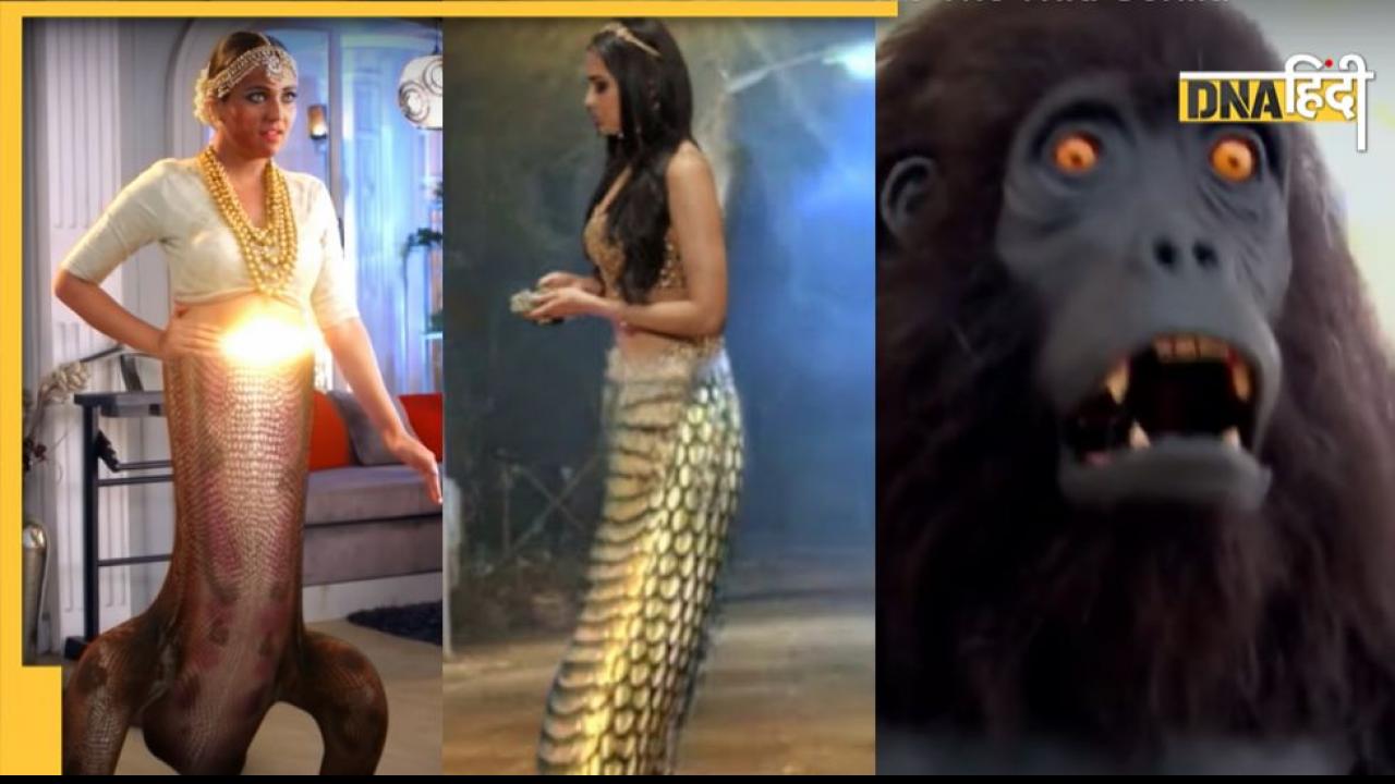 Lizard In TV Show: सांप-मक्खी और छिपकली...बनीं टीवी की ये बहुएं, वीडियो देखकर फटी रह जाएंगी आंखें