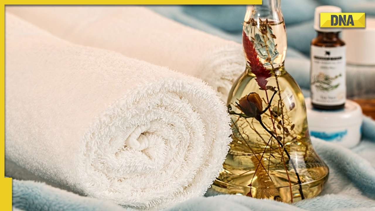 Benefits of oiling your hair in monsoon, know which hair oil will suit