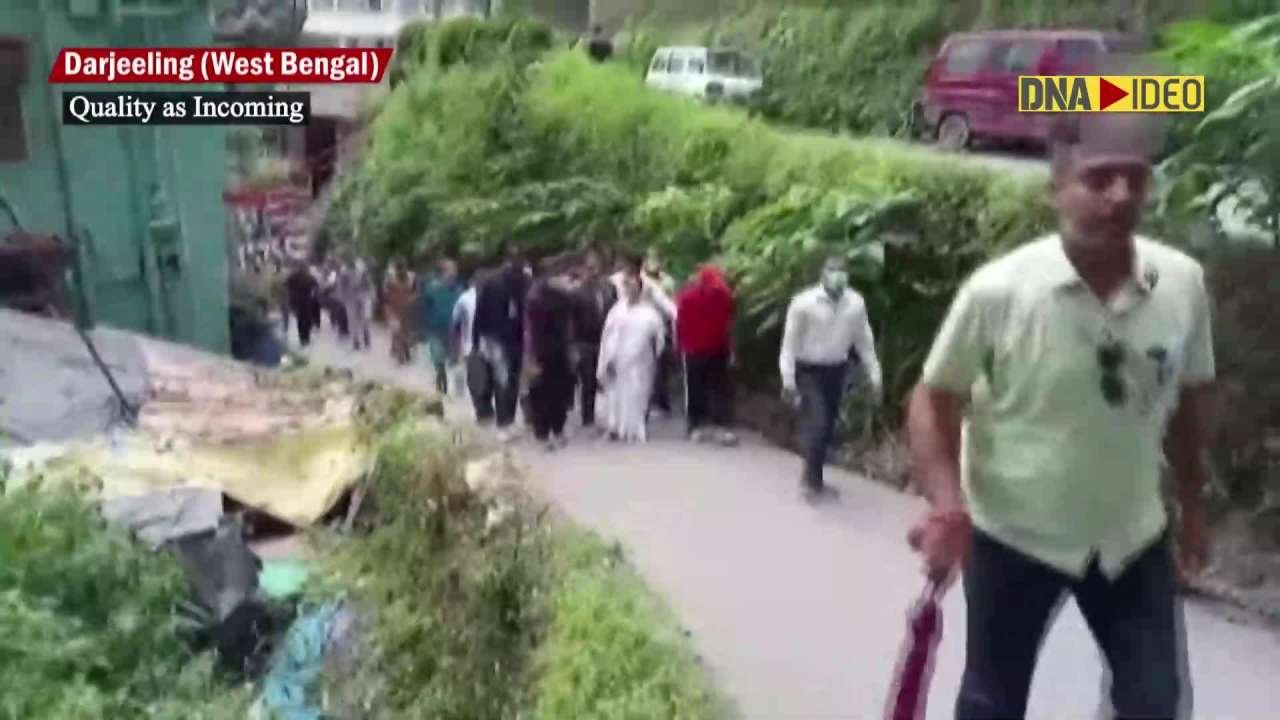 After pani puri, WB CM Mamata Banerjee prepares momos in Darjeeling
