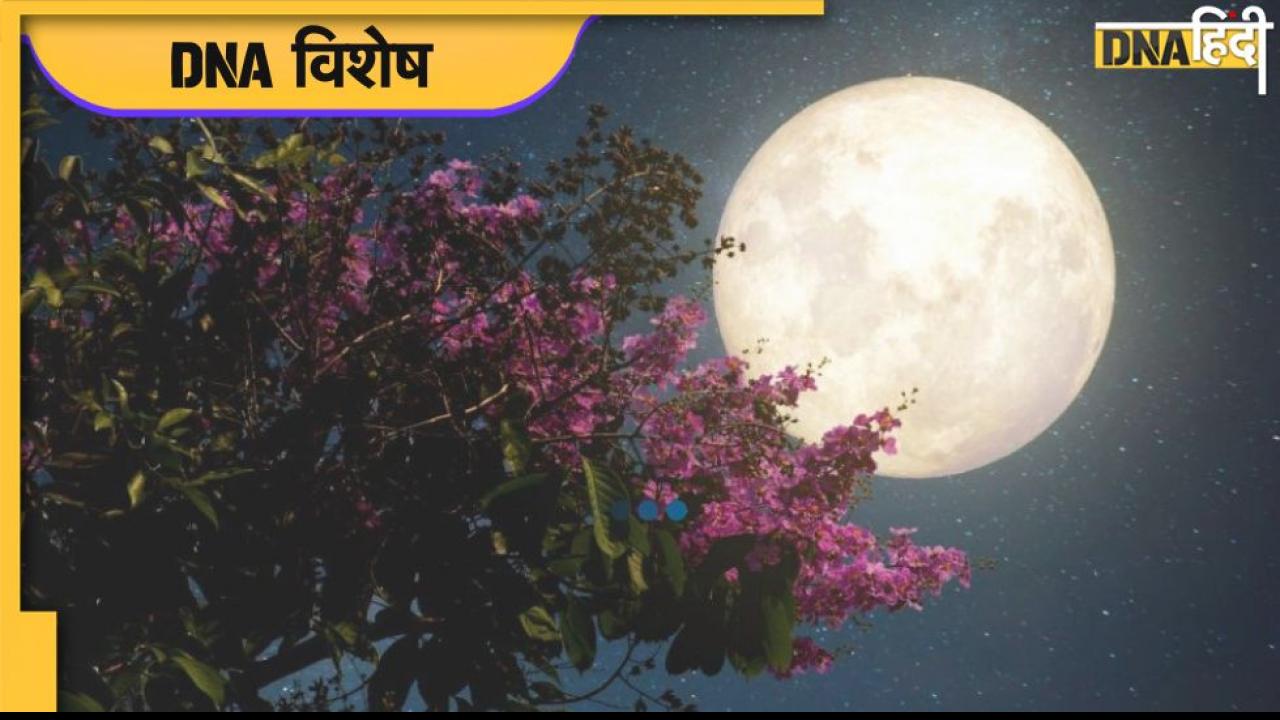 World Moon Day: कैसे बना था चांद और क्यों अमेरिका ने रची थी चांद को बम से उड़ाने की साजिश