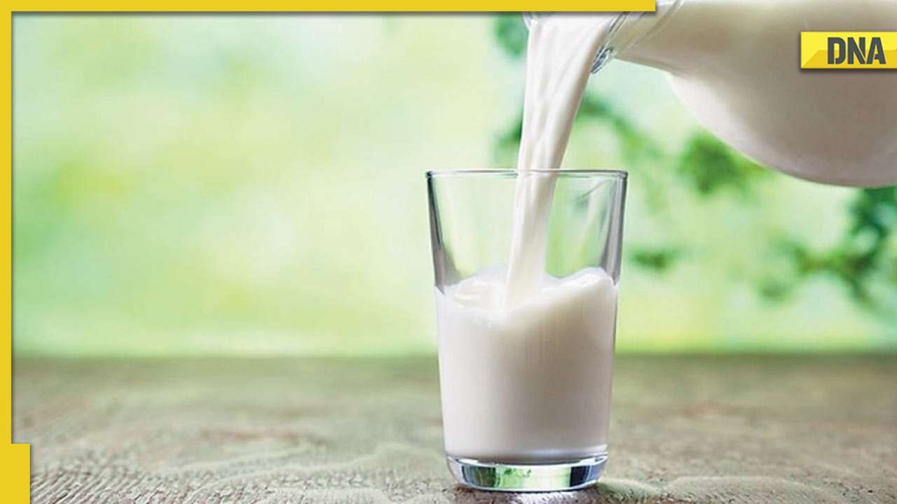 No clean milk for Delhi residents? High Court refuses to entertain PIL seeking sanitary dairy