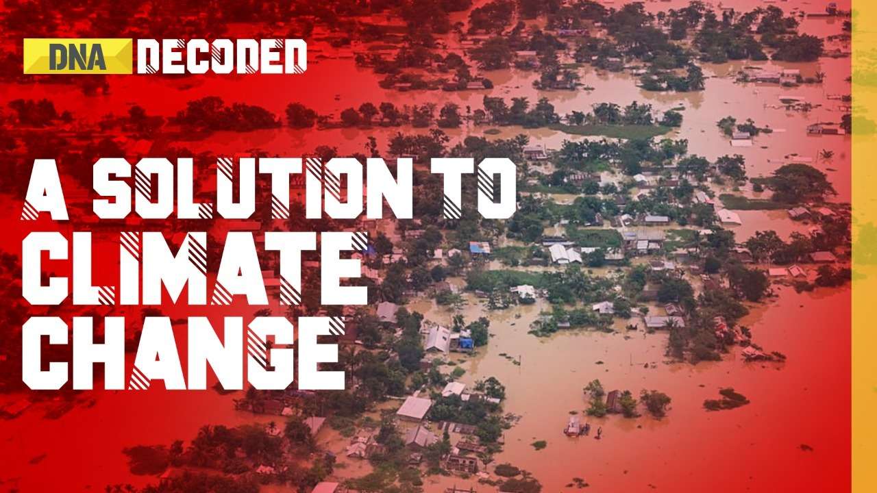 DNA Decoded: India's climate change is real, microclimate can be a solution