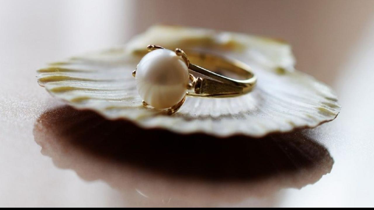 मोती (Pearl Gemstone)