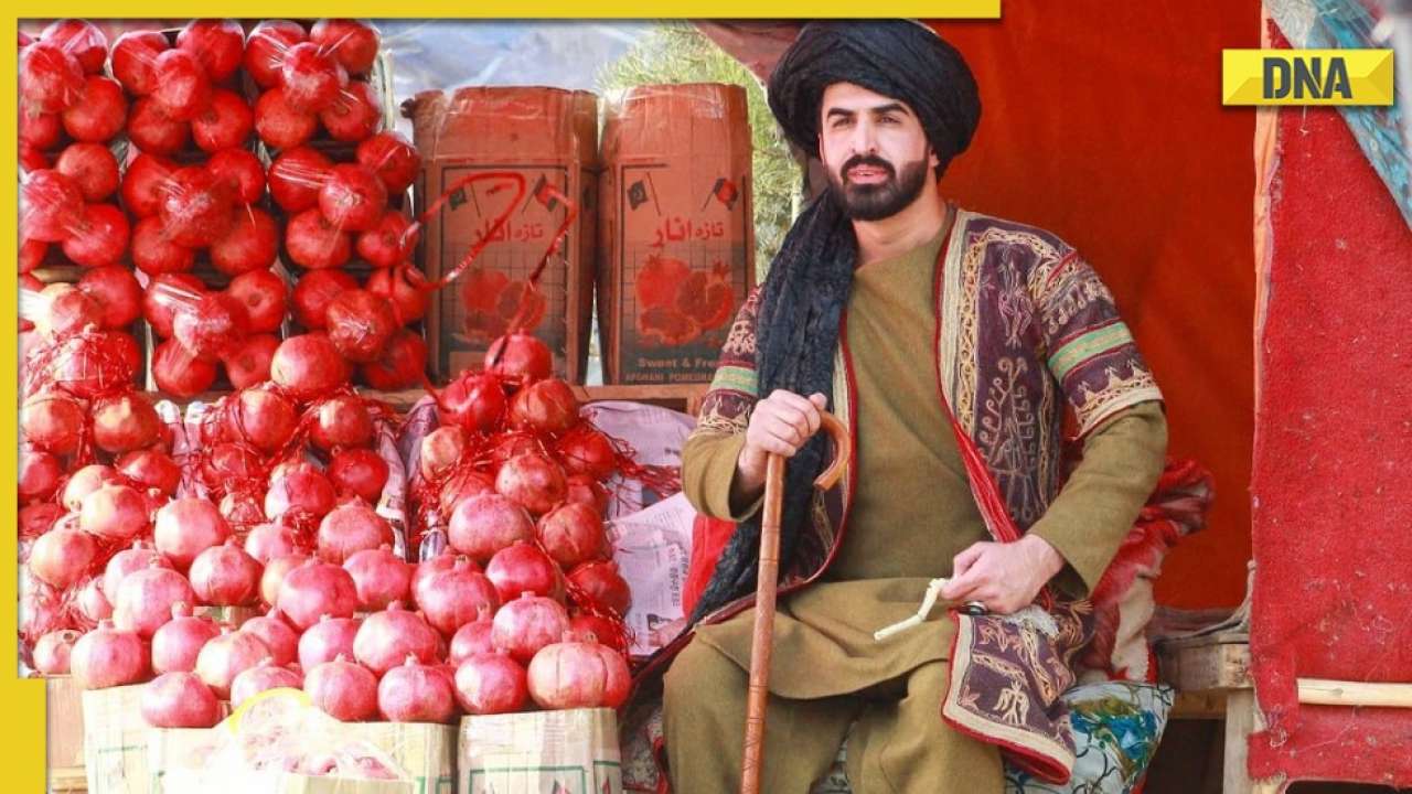 Afghan YouTuber Ajmal Haqiqi allegedly tortured by Taliban, video filmed 'for fun'