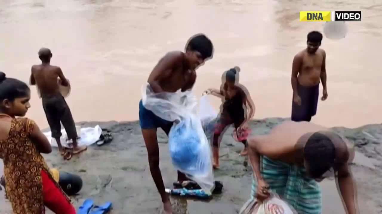 Gujarat: Villagers compelled to swim on wooden logs amid absence of bridge over river in Valsad