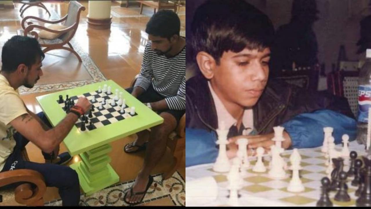 chess player chahal