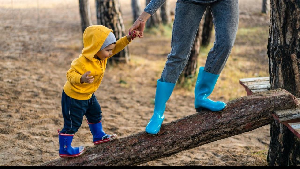 इन पौधों से रखें दूर (Parenting Tips for Playground)