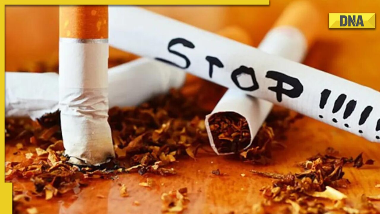 tobacco plant red dead redemption 2 Indian Tobacco (No. 5)