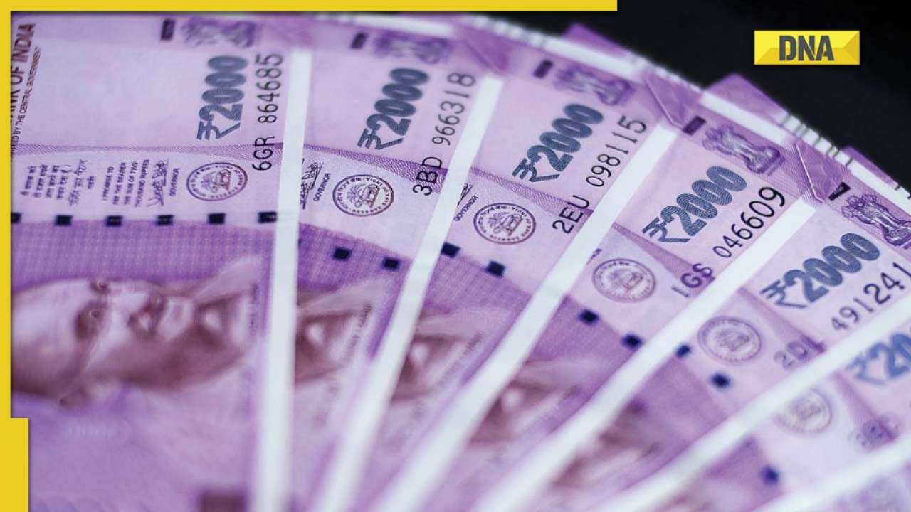DA hike 2022: CM Shivraj Singh Chouhan announces good news for MP government employees