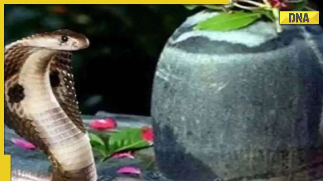 Nag Panchami 2022 to be celebrated today, know significance and ...
