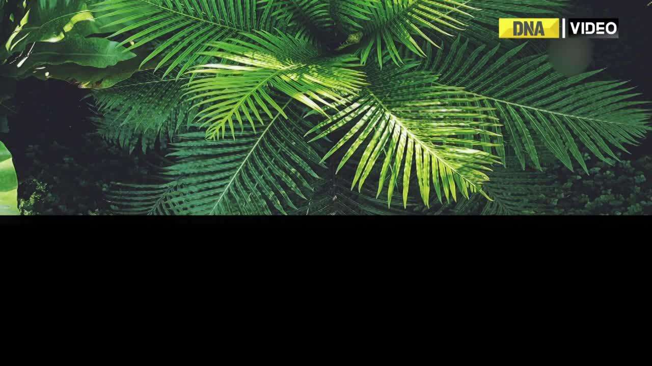 Scientists discover a new gene to protect plants from common diseases