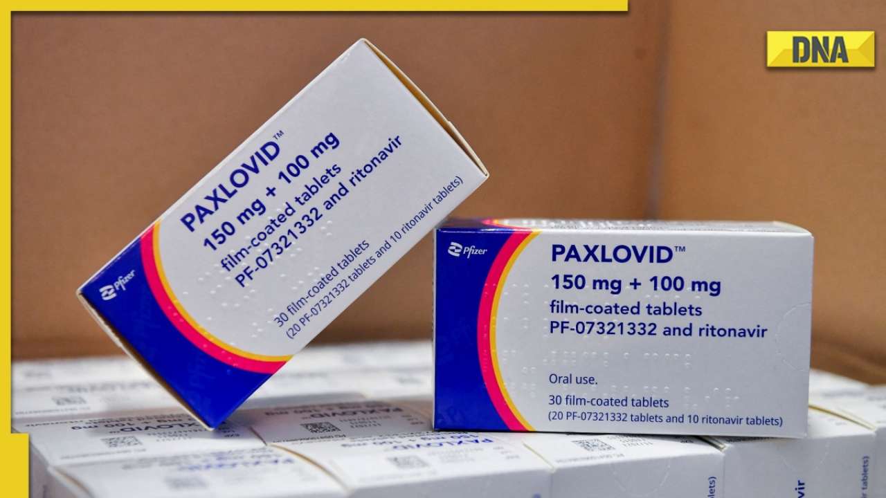 DNA Explainer What is 'Paxlovid rebound'? Why is COVID19 returning to