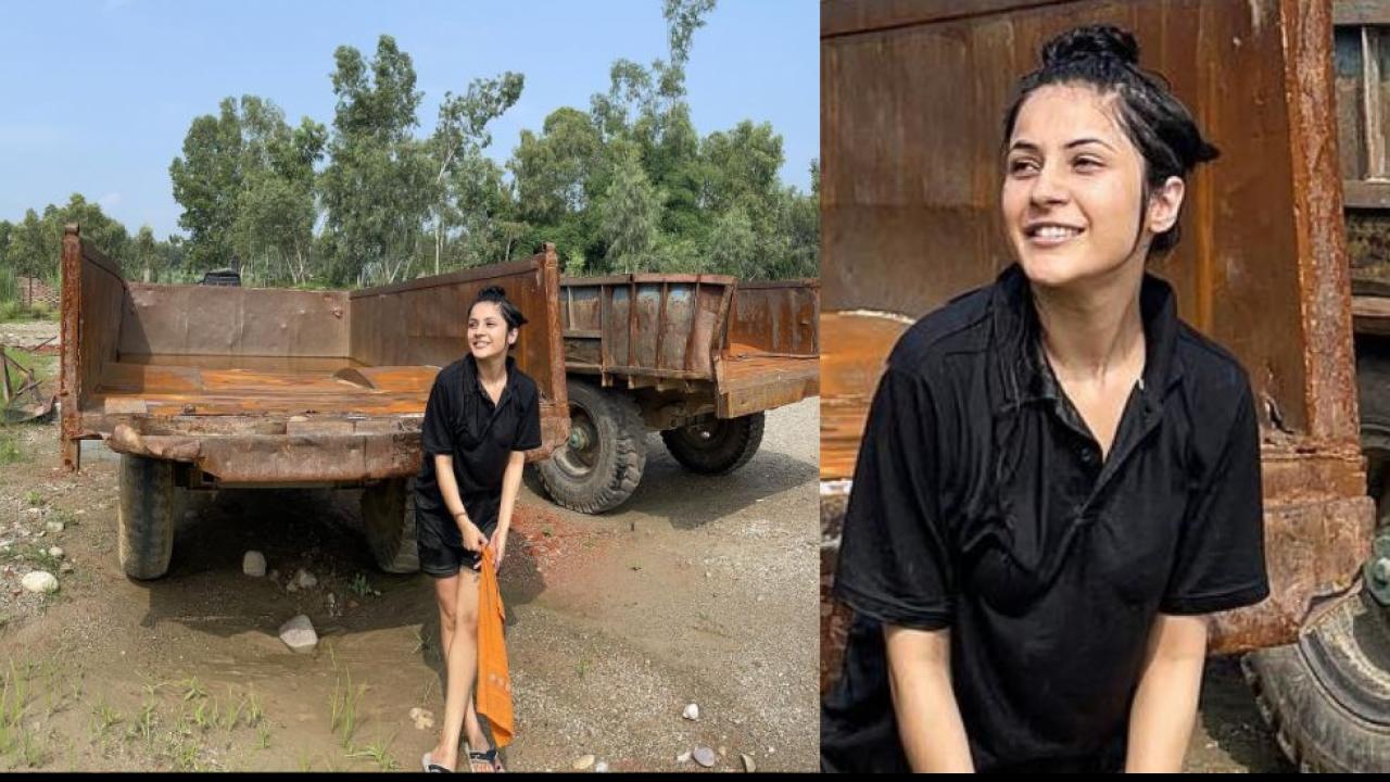 Mud SPA Effect On Shehnaaz Gill