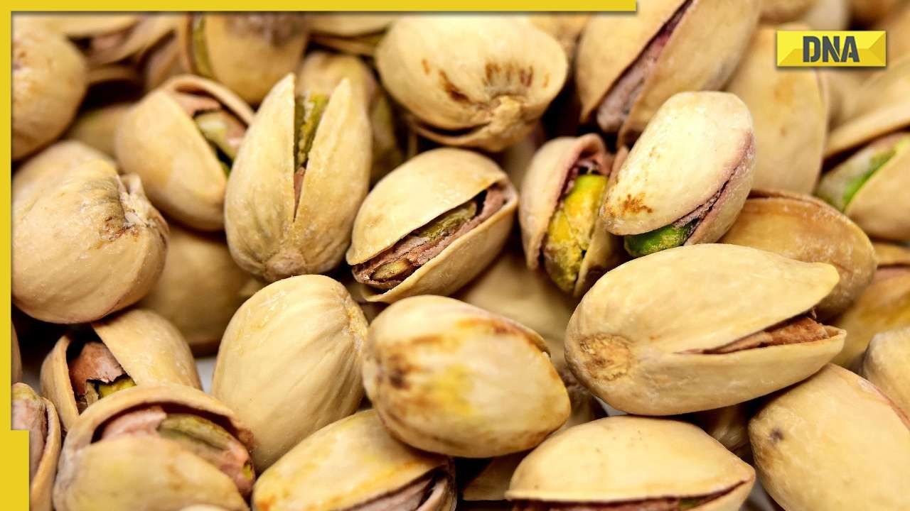 From antioxidants to weight loss Know benefits of including pistachios