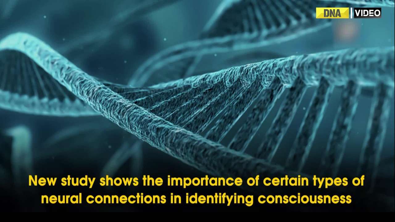 Research: Mitochondrial DNA mutations associated with heart disease risk