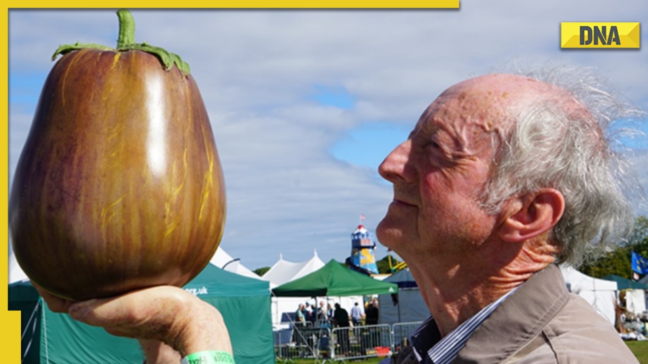 Here are 5 of the heaviest, fattest fruits ever grown