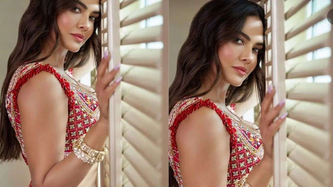 Esha Gupta- The born stunner