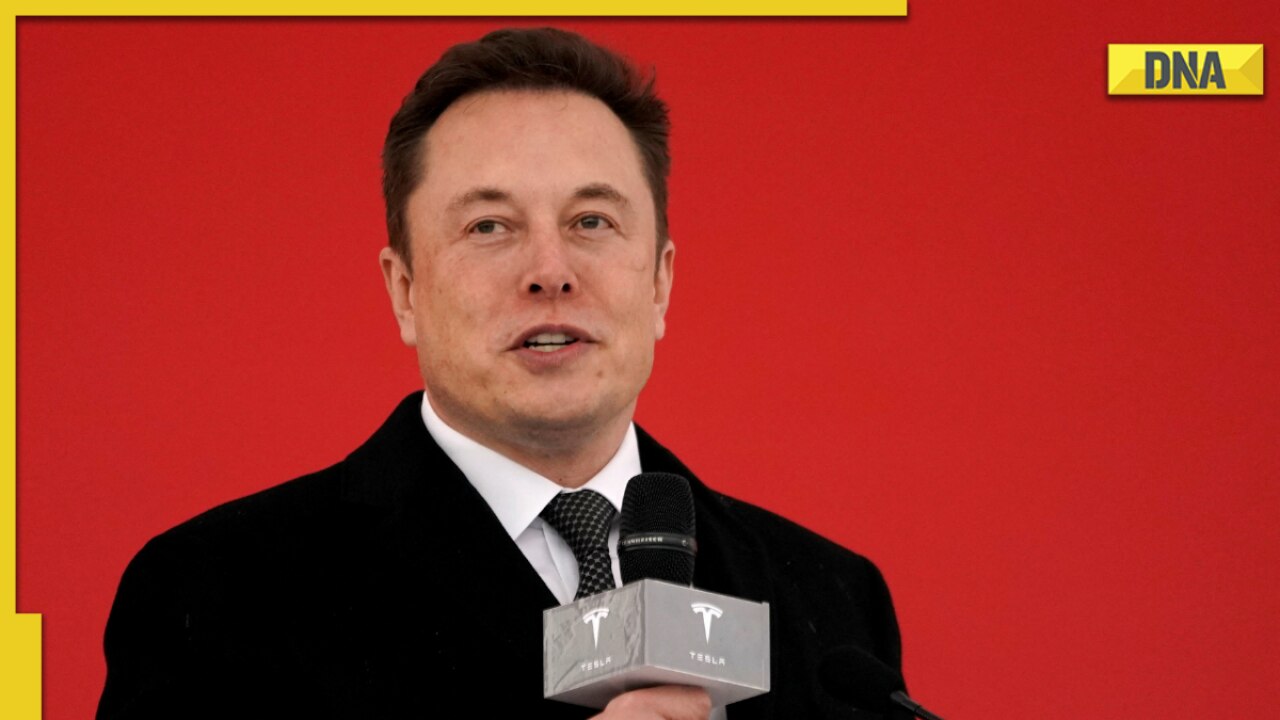 Elon Musk targets advertising tech firms in Twitter bot account controversy