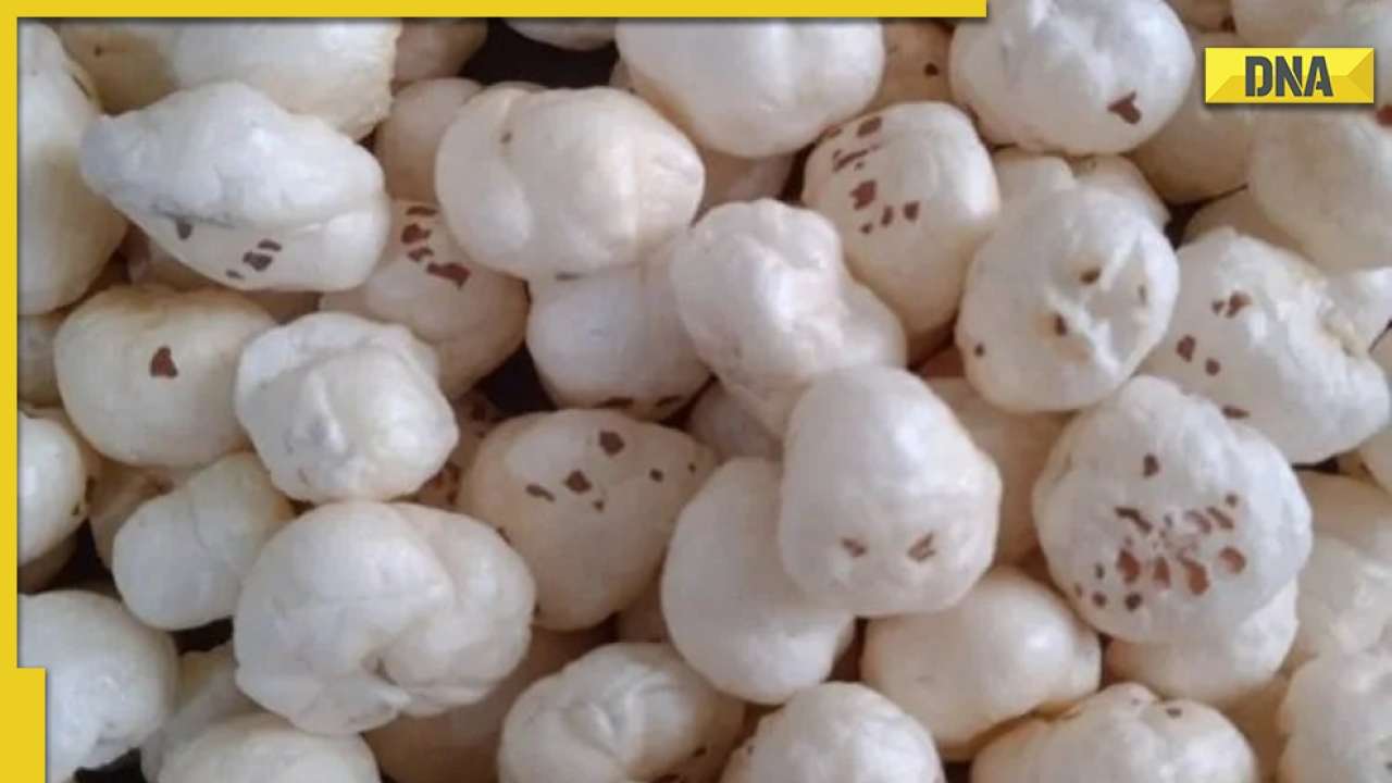 Mithila Makhana gets GI tag, Centre says decision likely to boost farmers' income
