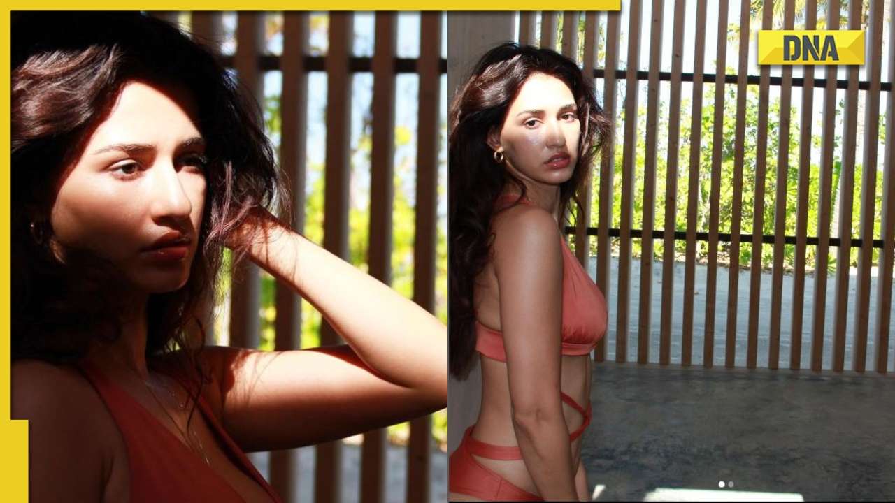 Disha Patani burns the internet with her sexy photos in bikini