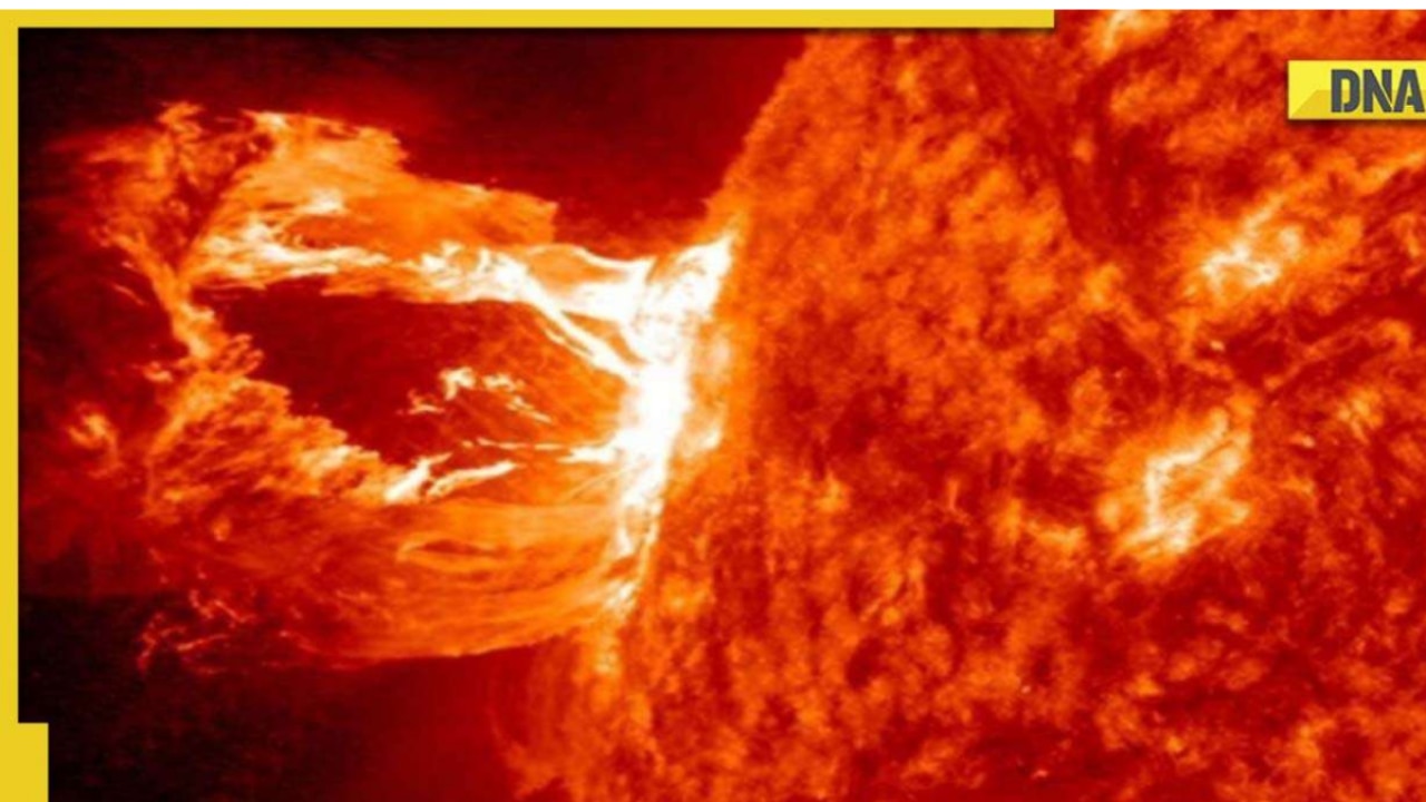 Will the Earth, Mercury and Venus be swallowed by the Sun? Know what