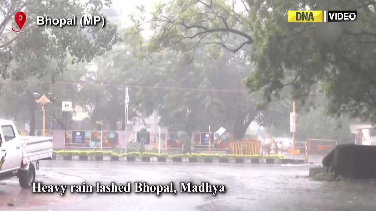 Rain lashes Bhopal, IMD issues red alert
