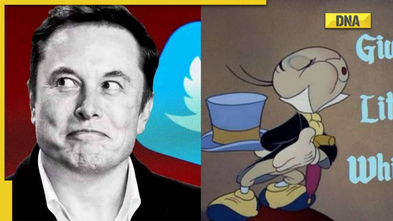 Elon Musk drops cryptic tweet after Twitter whistleblower's bombshell Elon Musk drops cryptic tweet after Twitter whistleblower's bombshell