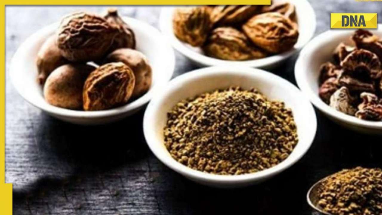 Ayurvedic Herbs For Diabetes Make These 6 Churna At Home To Control 