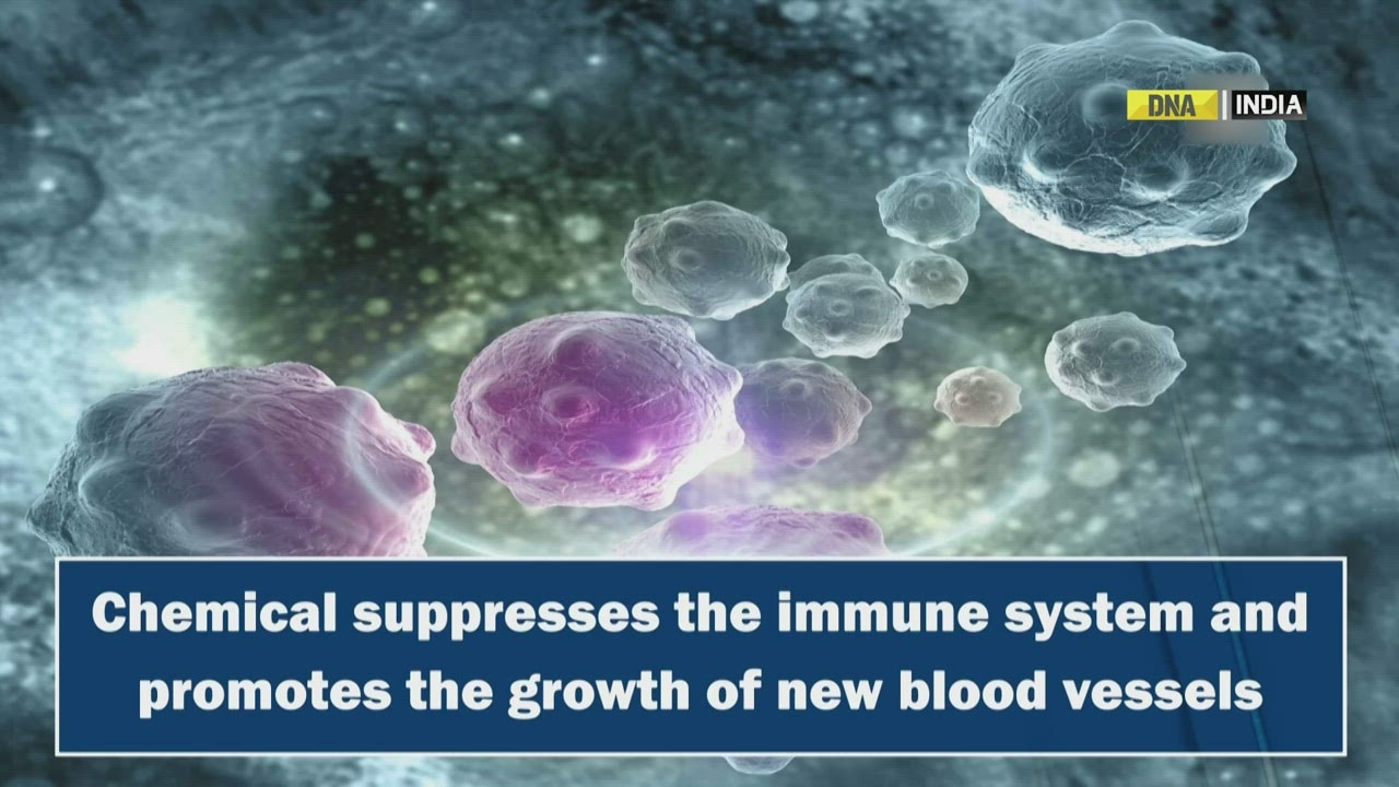 Therapeutic drug can render cancer cells: Study