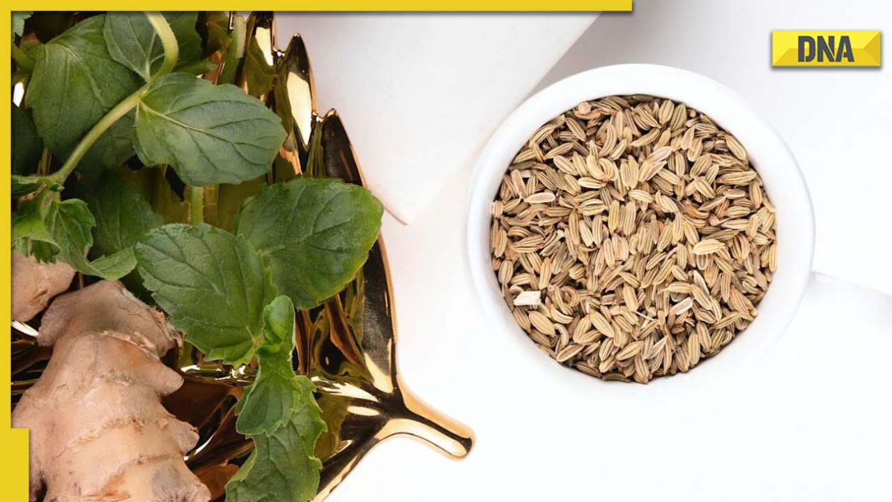 Diabetes Diet: Add THESE Seeds To Your Daily Food Intake To Control ...