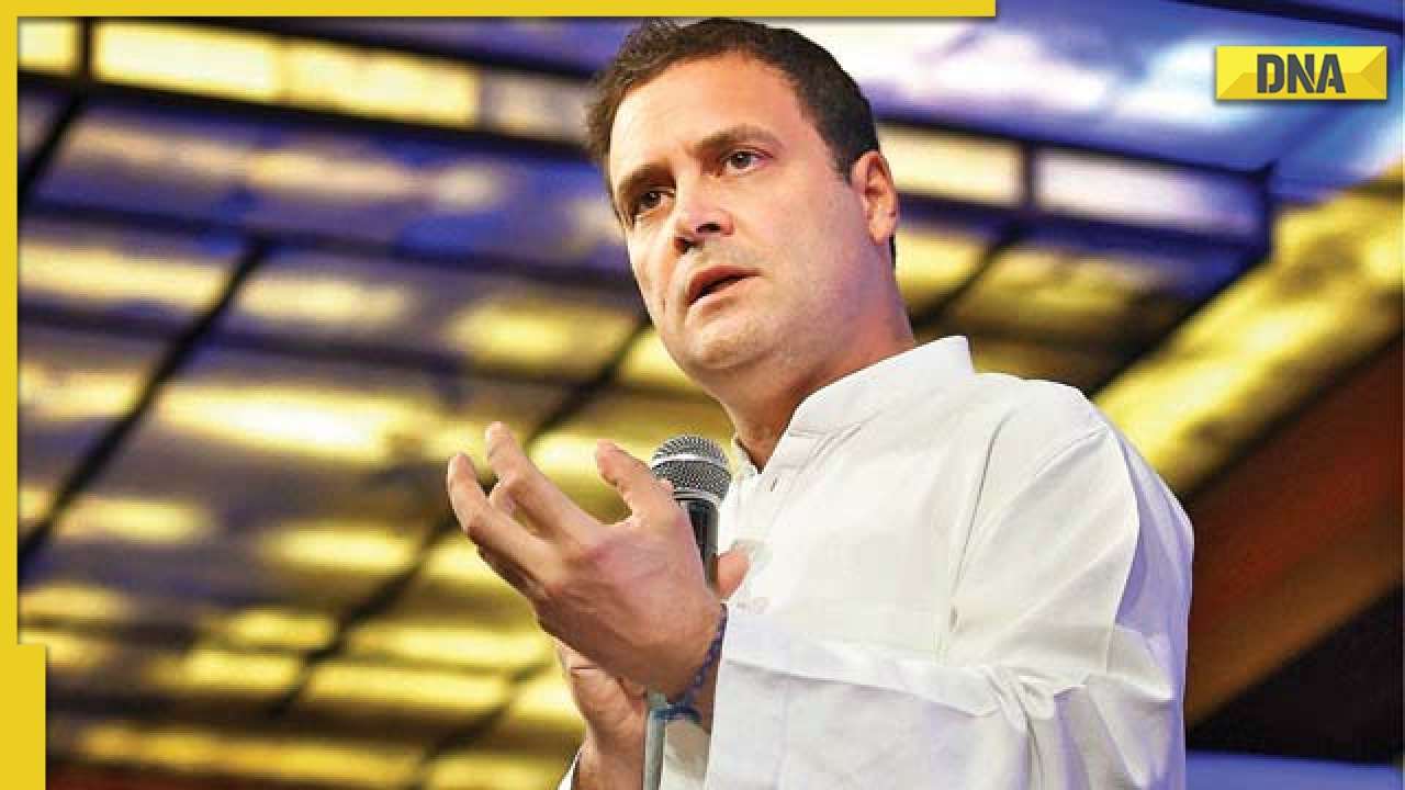 Chorus for Rahul Gandhi as Congress president grows louder, G-23 raises questions on electoral rolls at CWC meet