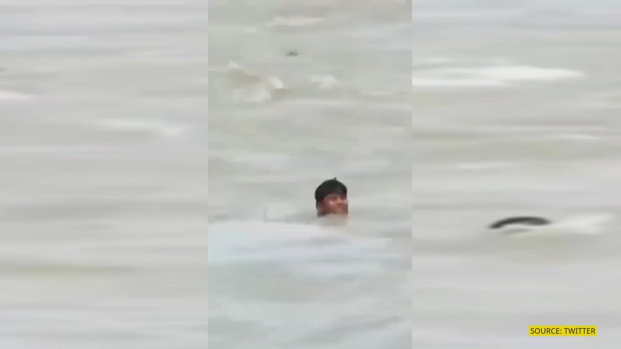 Viral Video Boy drowns in Chambal river; rescued by SDRF team, watch
