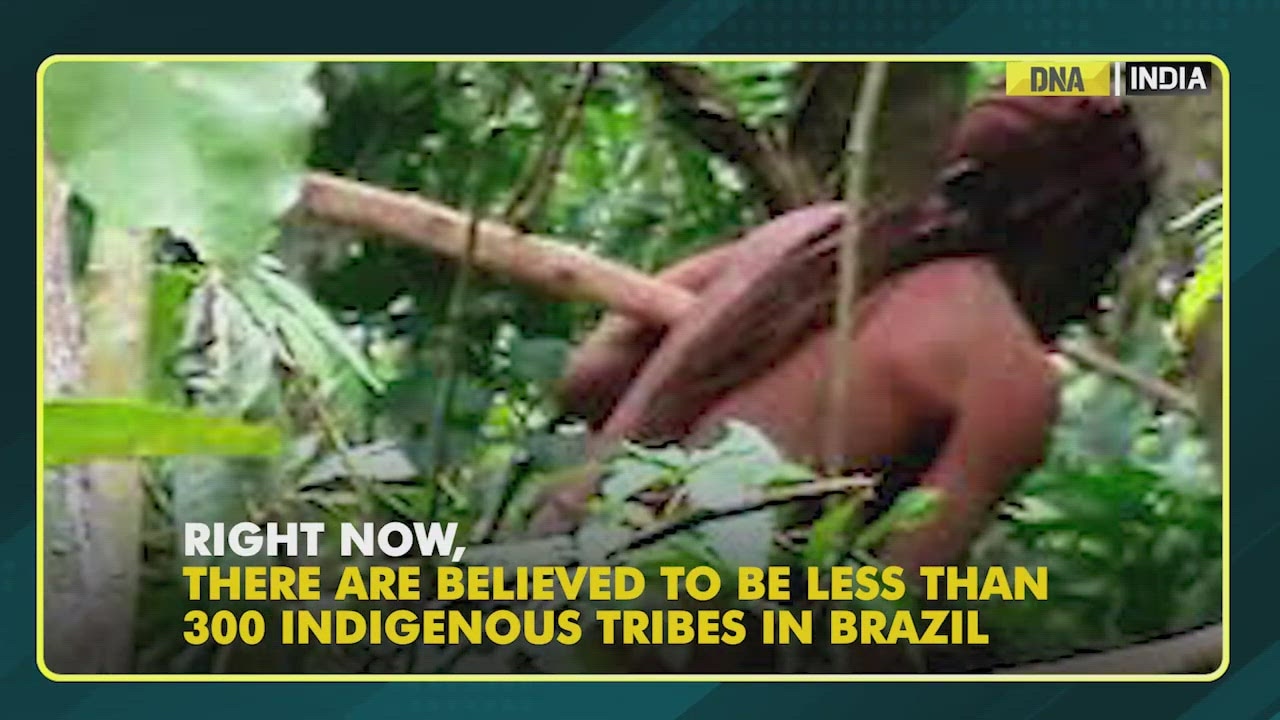 Last member of indigenous tribe dies in Brazil's Amazon rainforest