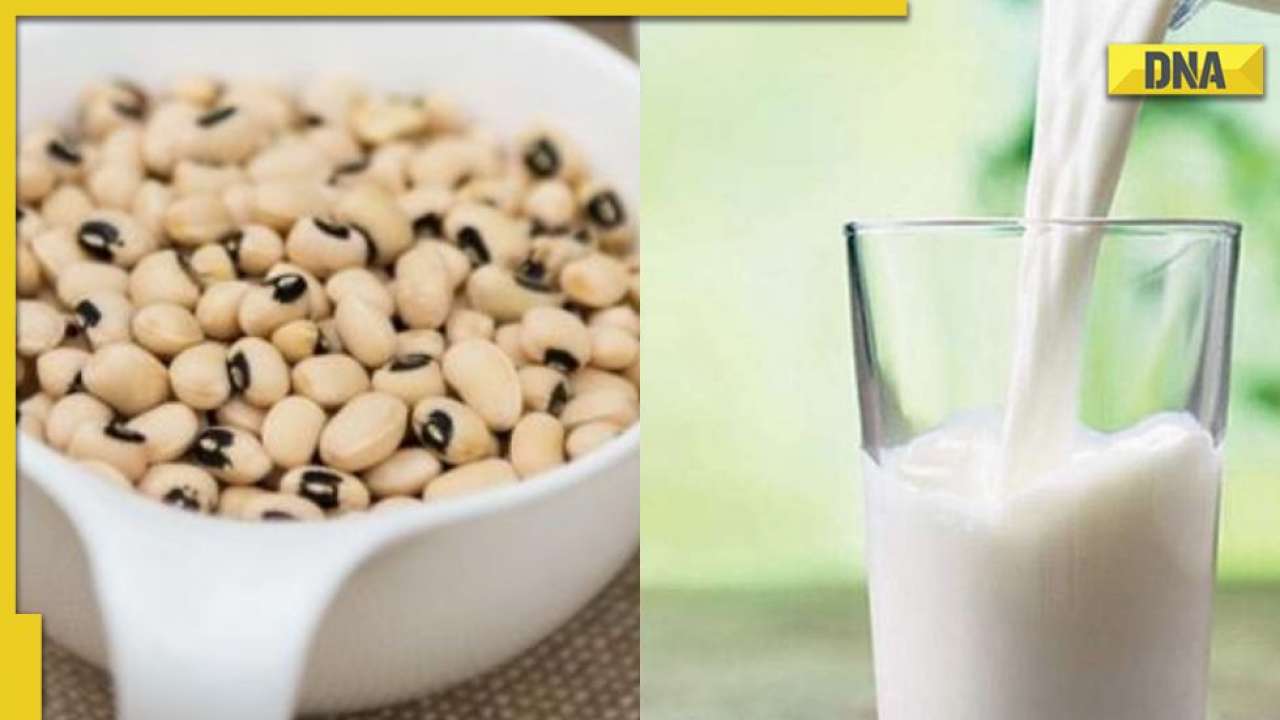 Cowpea Milk CSA scientists make soy milk substitute know how to