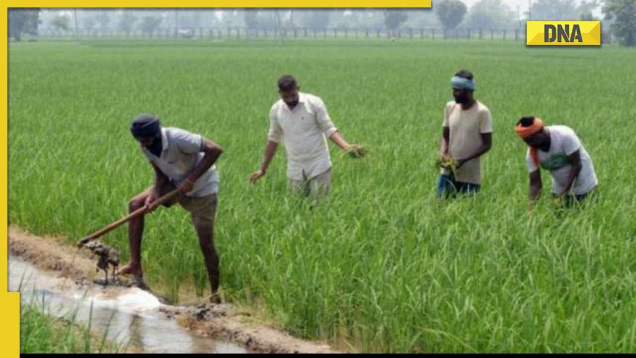 Kisan Credit Card: Step-by-step guide to apply for Kisan Credit Card scheme