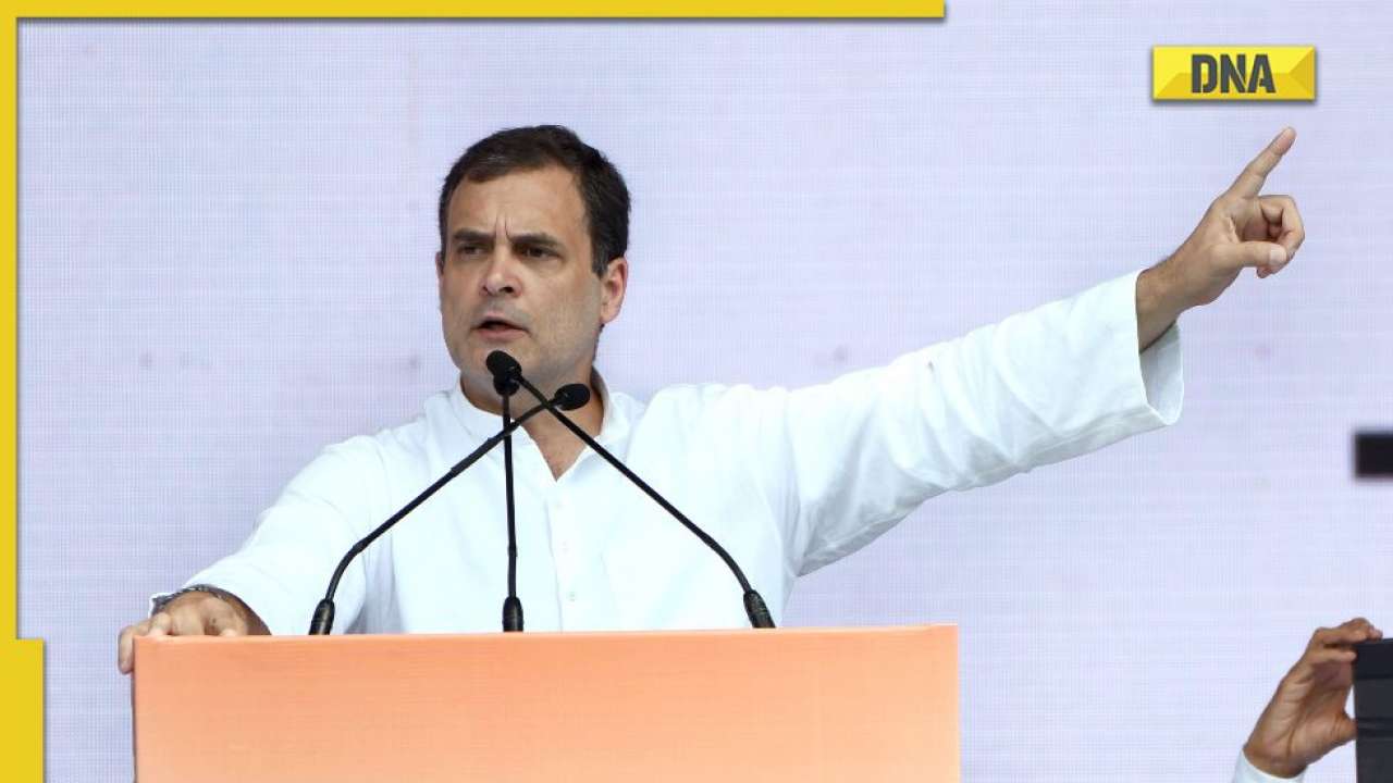 The work we did in 10 years, they destroyed in 8 years': Rahul Gandhi slams  BJP at Congress' price rise rally