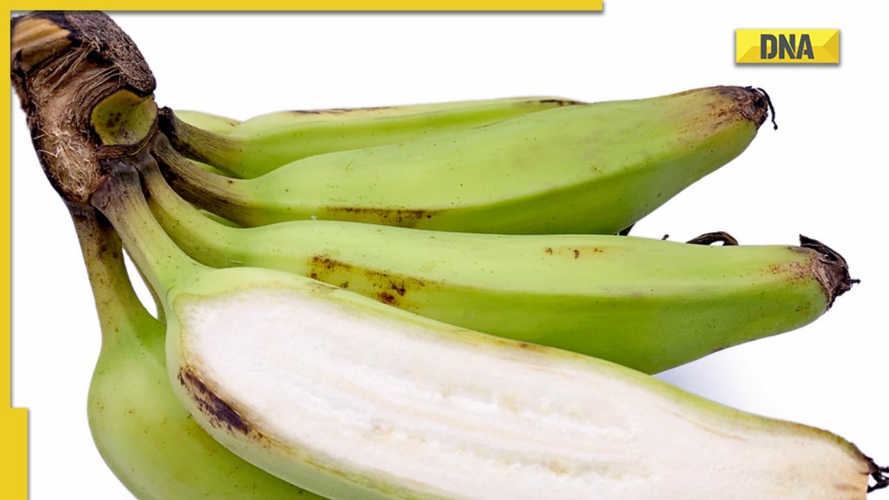 Unripened Bananas Benefits Of Eating Green Bananas 0742