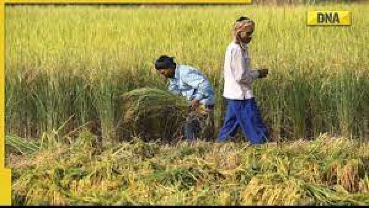 PM Kisan Samman Nidhi Yojana 12th installment may be delayed, here's why