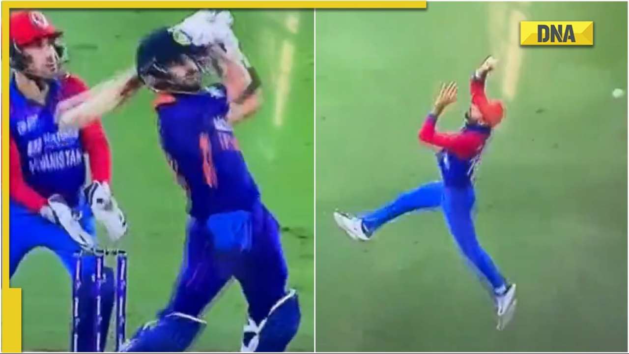 IND vs AFG: Ibrahim Zadran misses Virat Kohli's catch, ball goes out for six; watch video