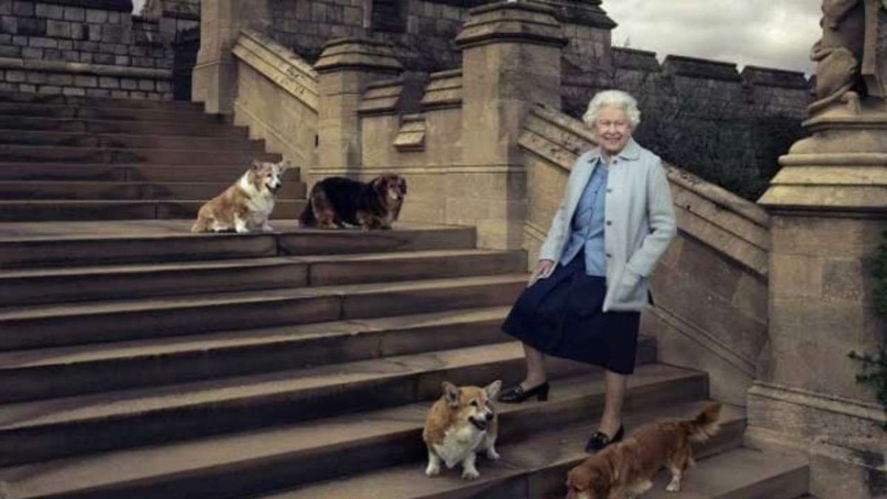 The queen loved dogs | Photo: AFP/ File