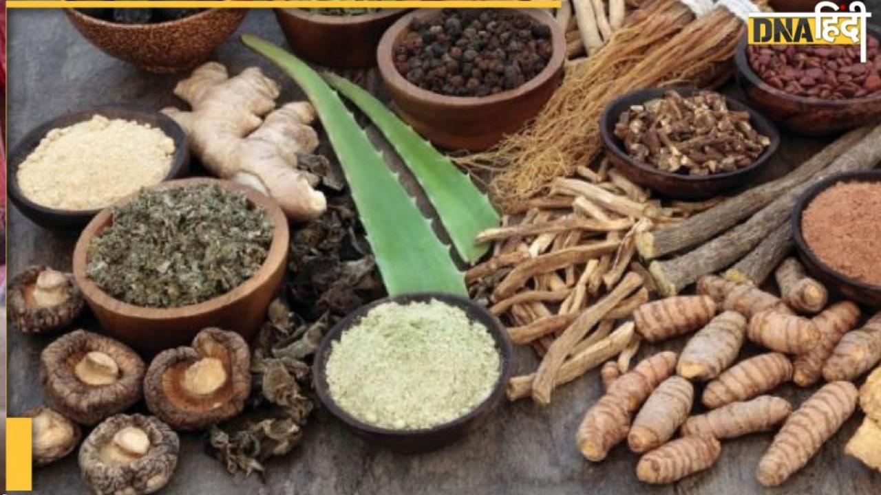 Cholesterol : कोलेस्ट्रॉल की दवा हो रही फेल तो ये 5 ड्रिंक नसों में जमा गंदा कोलेस्ट्रॉल करेंगे बाहर 
