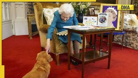 Queen Elizabeth II dies at 96: What happens now?