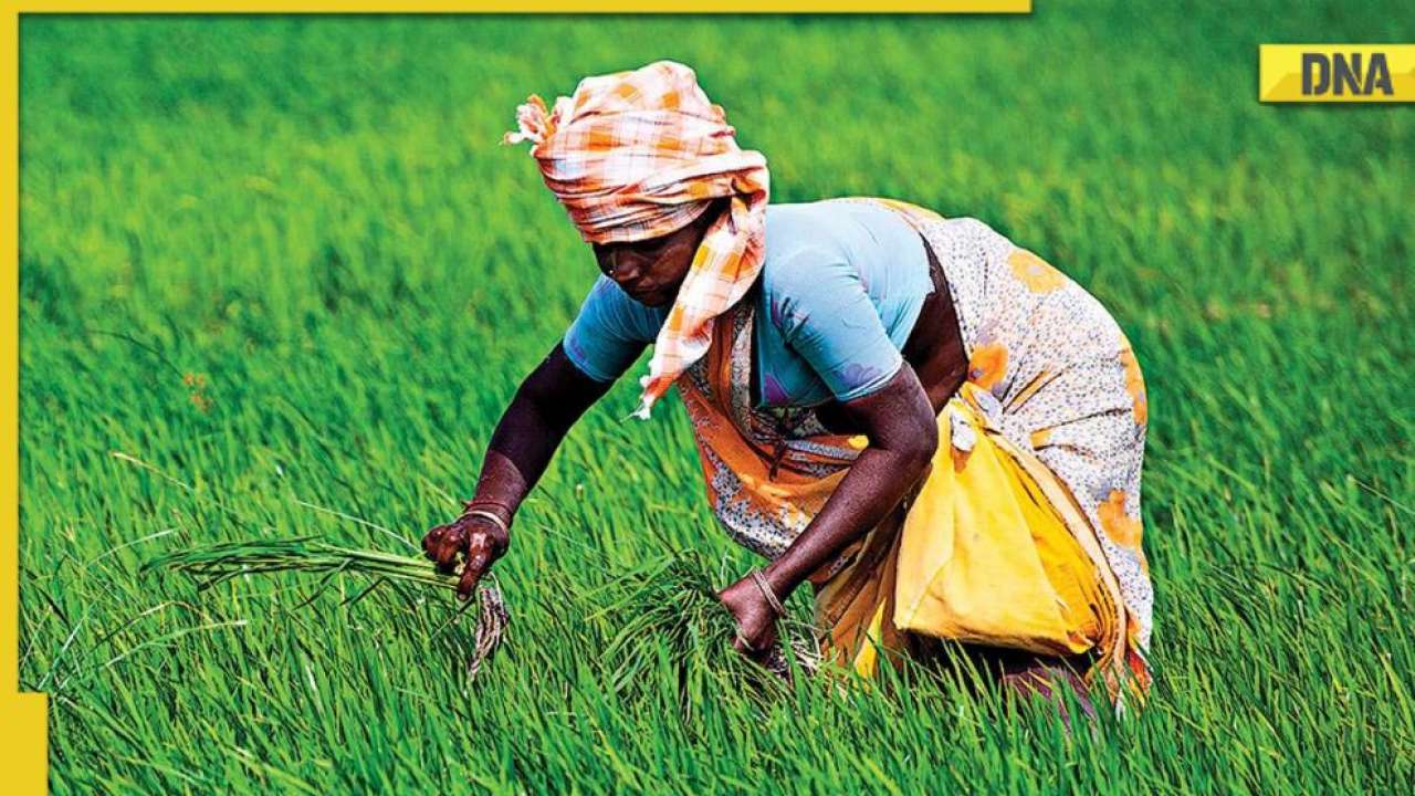 Inflation alert: Food prices likely to hike after India restricts rice exports