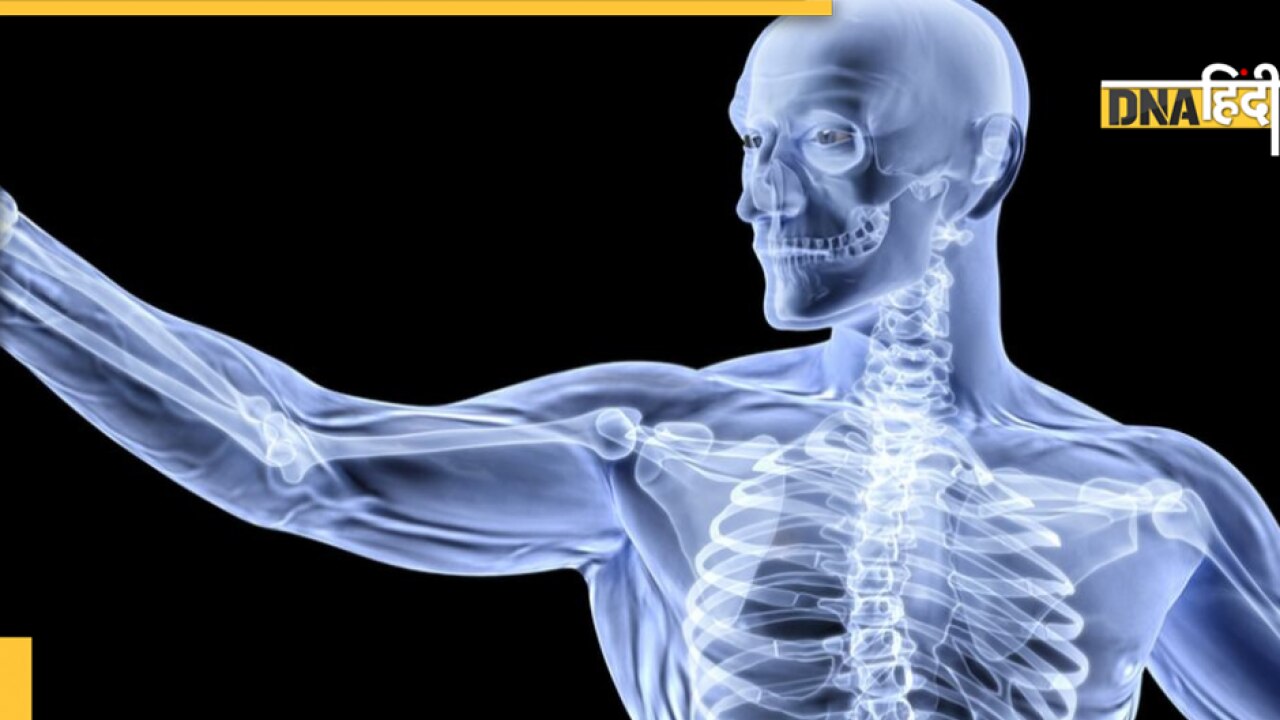 Bone Health Alert: आपकी ये कुछ गलतियां खोखला कर देती हैं हड्डी इसलिए एक झटका लगते ही जाती हैं टूट