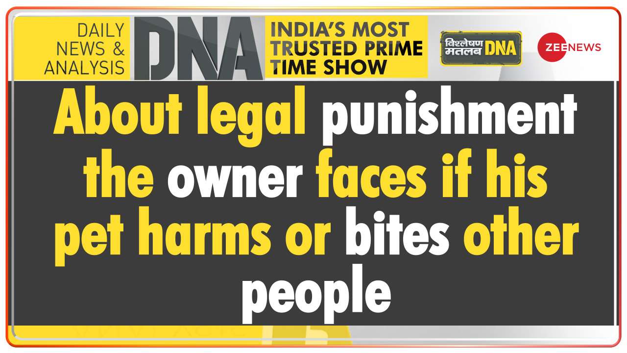 DNA : About legal punishment the owner faces if his pet harms or bites other people